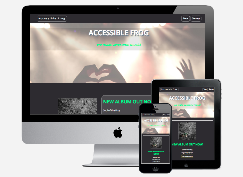 Accessibility website