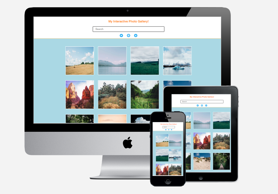 Photo Gallery